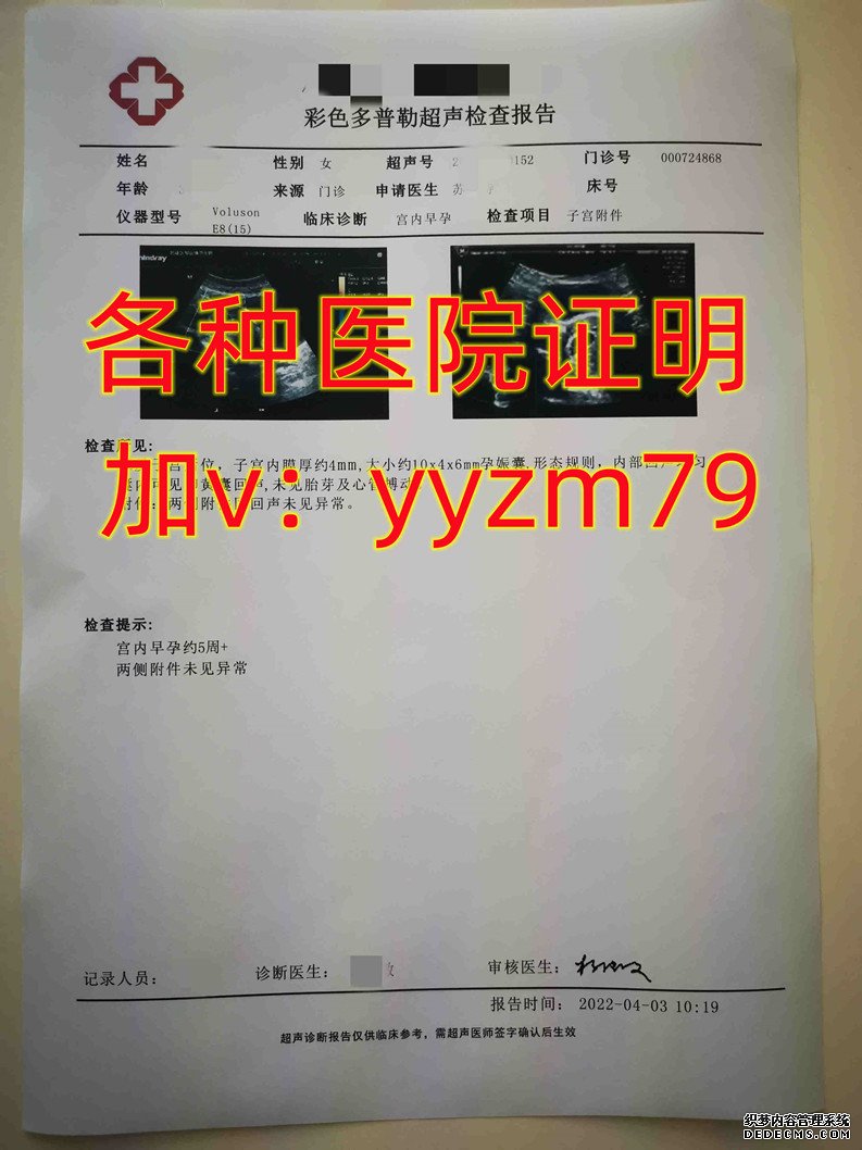 怀孕报告单：一份生命启程的详细记录